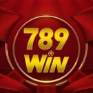 789Win91 com – Nạp tiền Chủ Nhật hàng tuần nhận thêm 8%