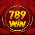 789Win0050 com – Giới thiệu nhà cái nhận ngay 199K cực nóng